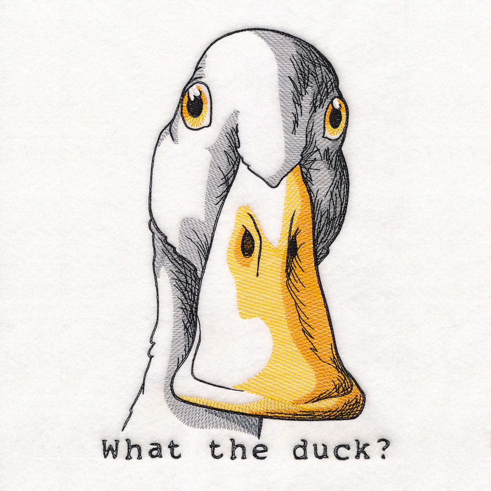 What the Duck