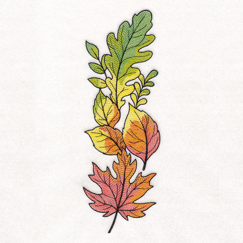 Color Theory Harvest Leaves Border