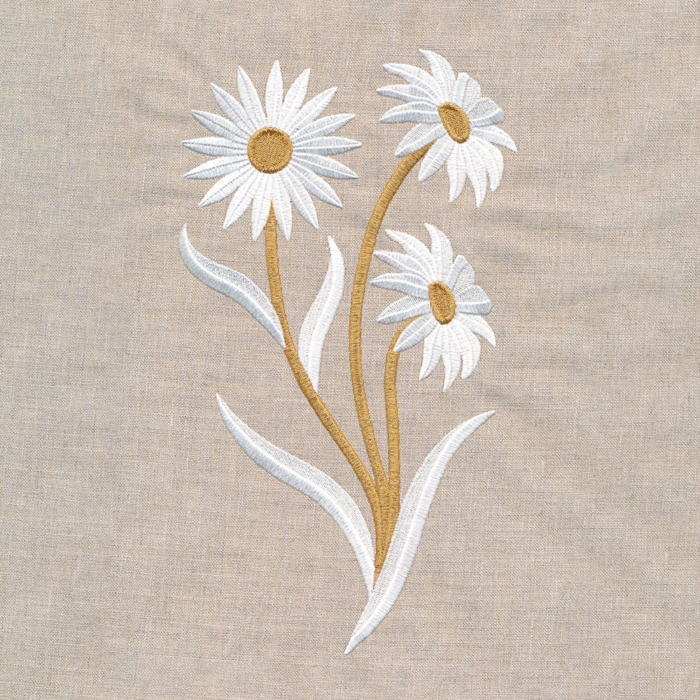 Golden Harvest Daisy