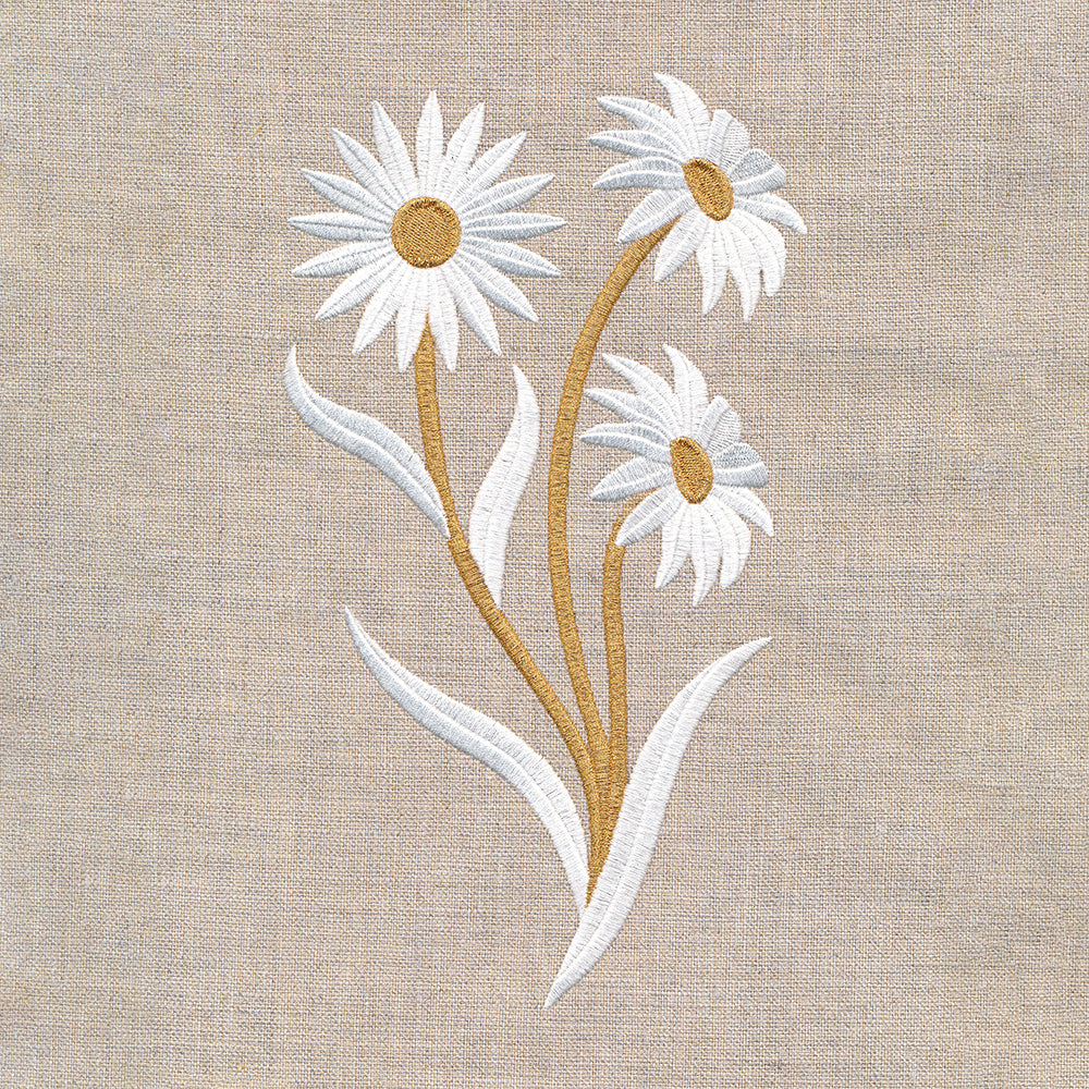 Golden Harvest Daisy