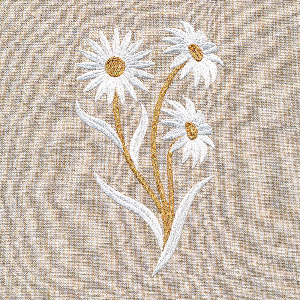 Golden Harvest Daisy