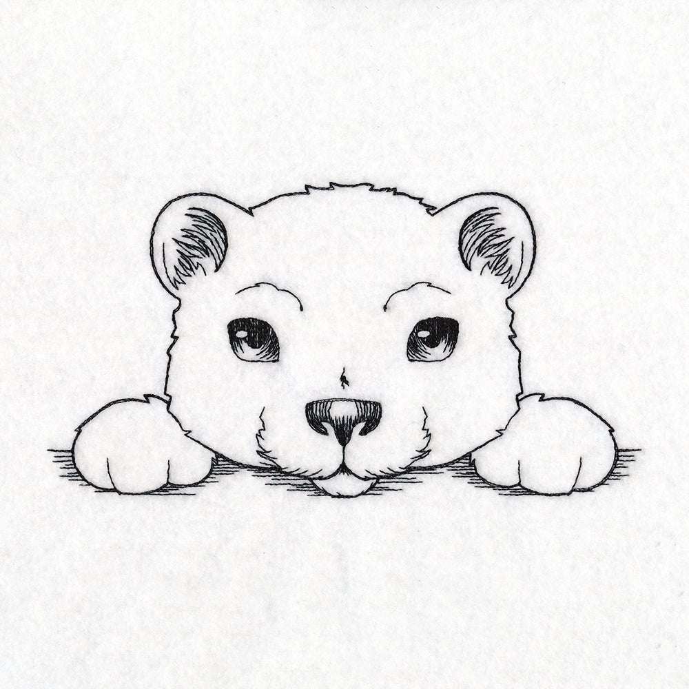 Peeking Polar Bear Sketch