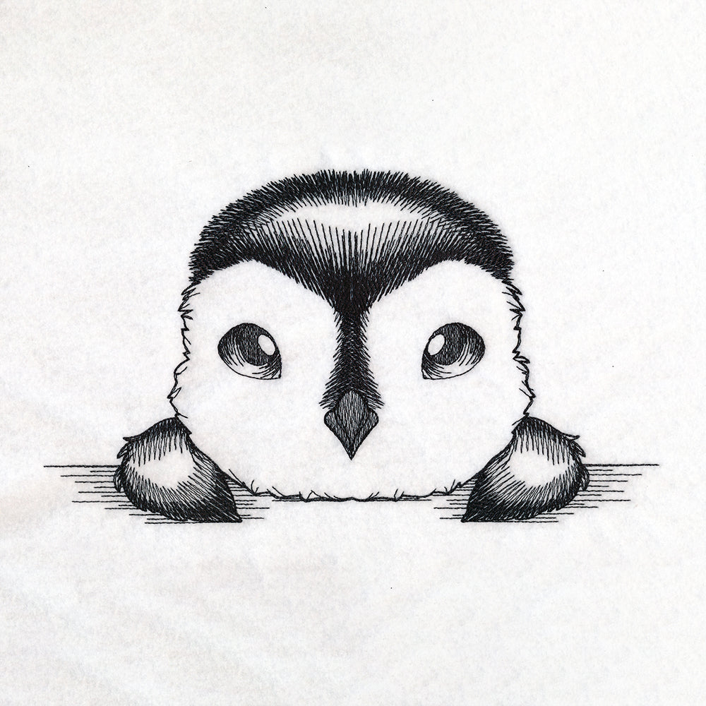 Peeking Penguin Sketch