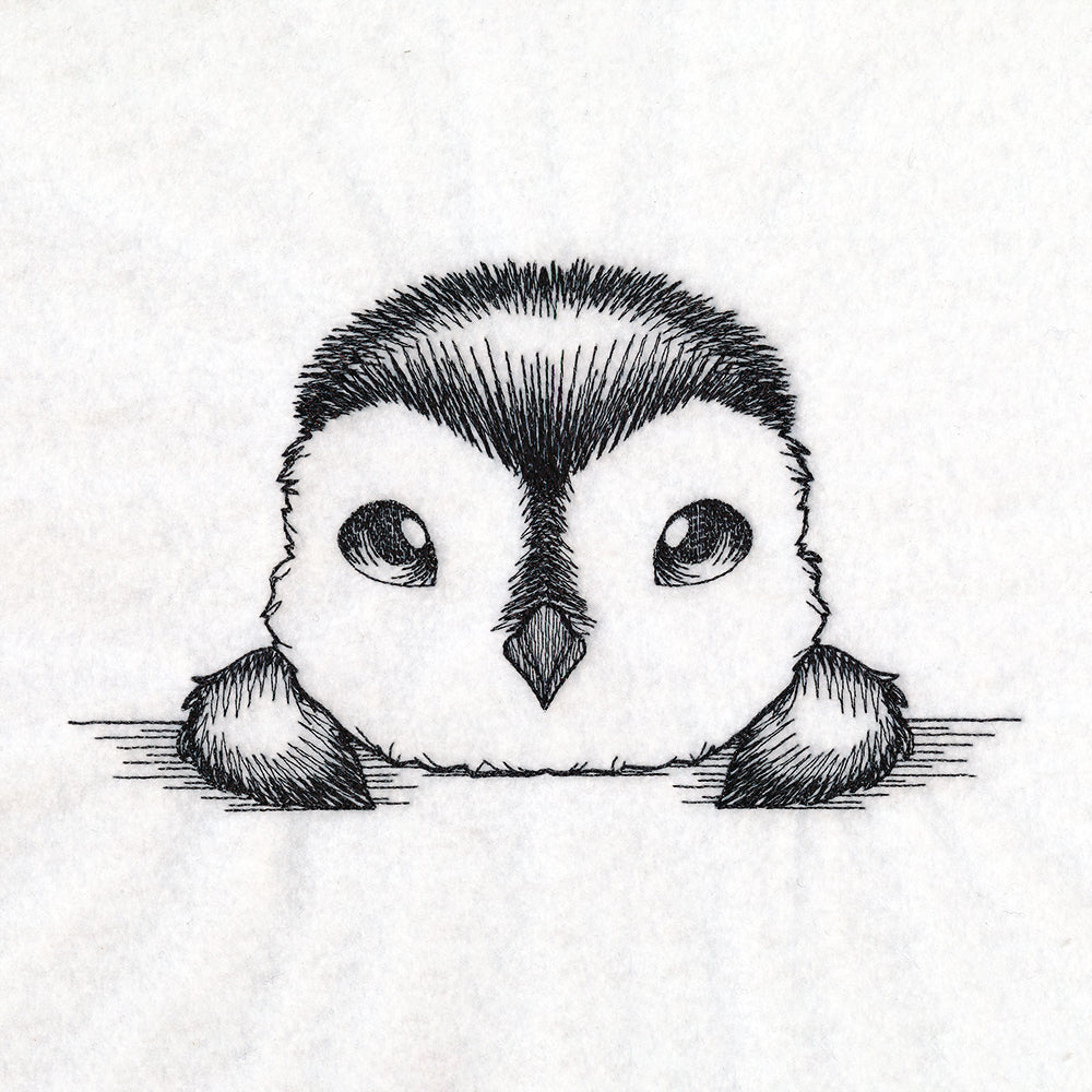 Peeking Penguin Sketch