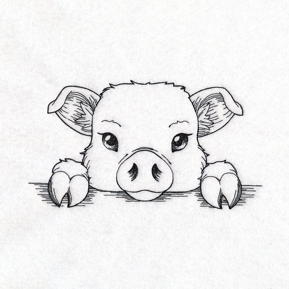 Peeking Pig Sketch