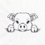 Peeking Pig Sketch