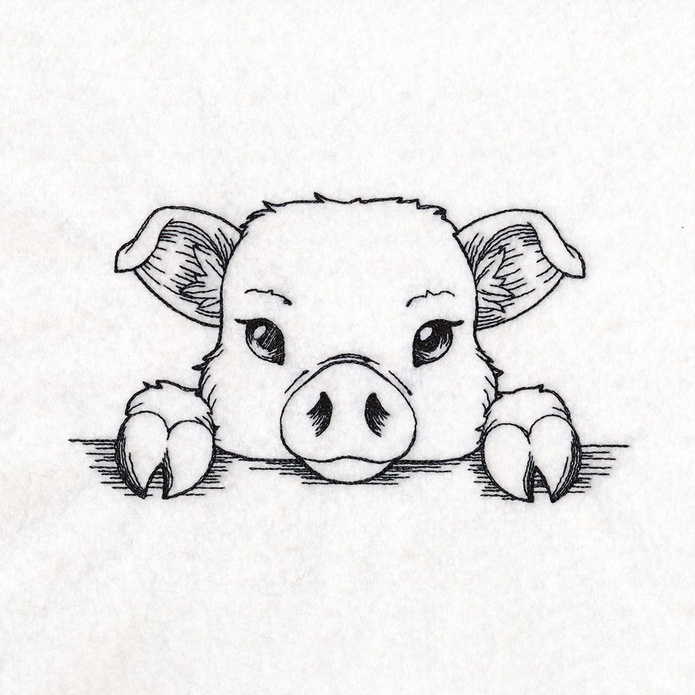 Peeking Pig Sketch