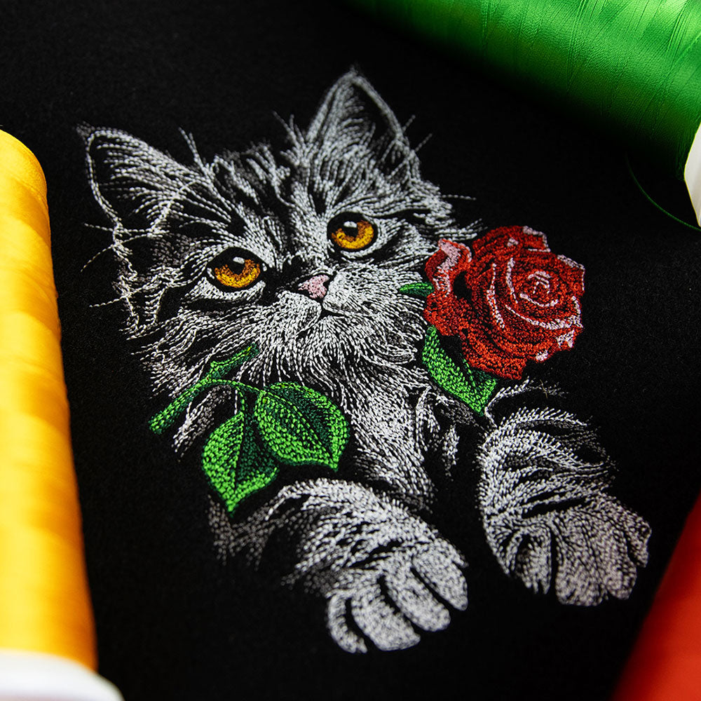 Majestic Rose Kitten