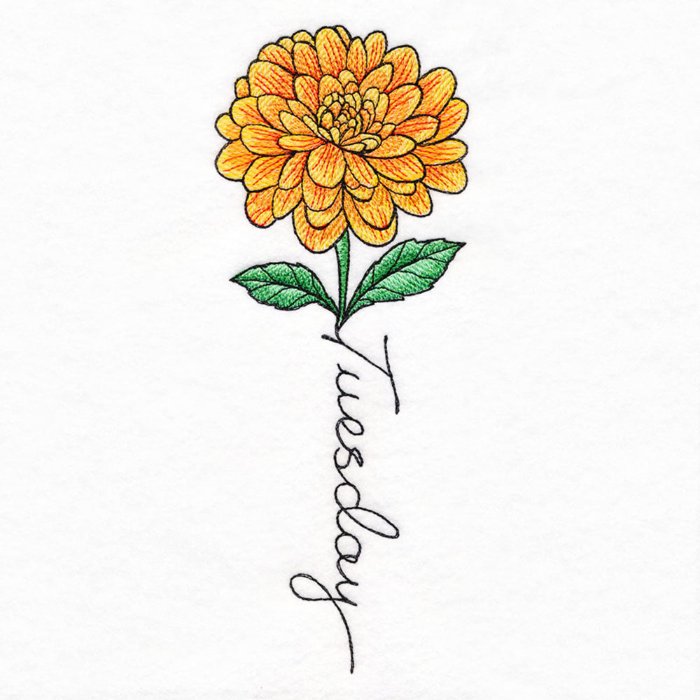 Tuesday Bloom Dahlia