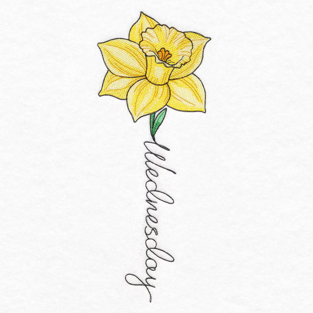 Wednesday Bloom Daffodil