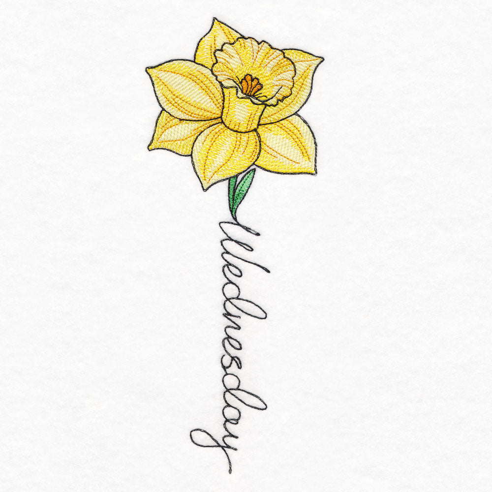 Wednesday Bloom Daffodil