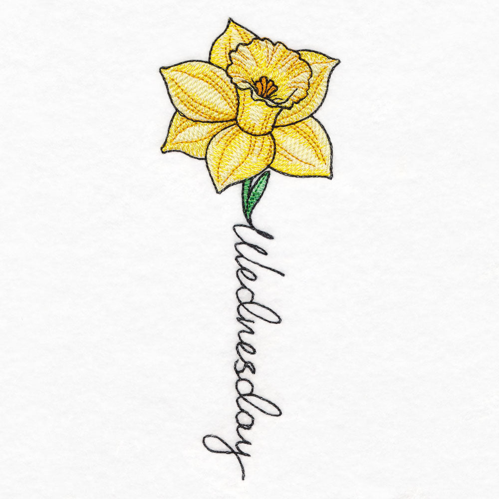 Wednesday Bloom Daffodil