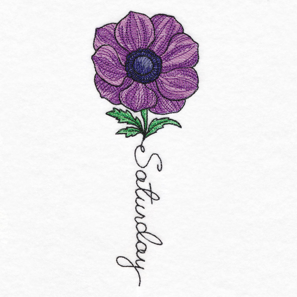 Saturday Bloom Anemone