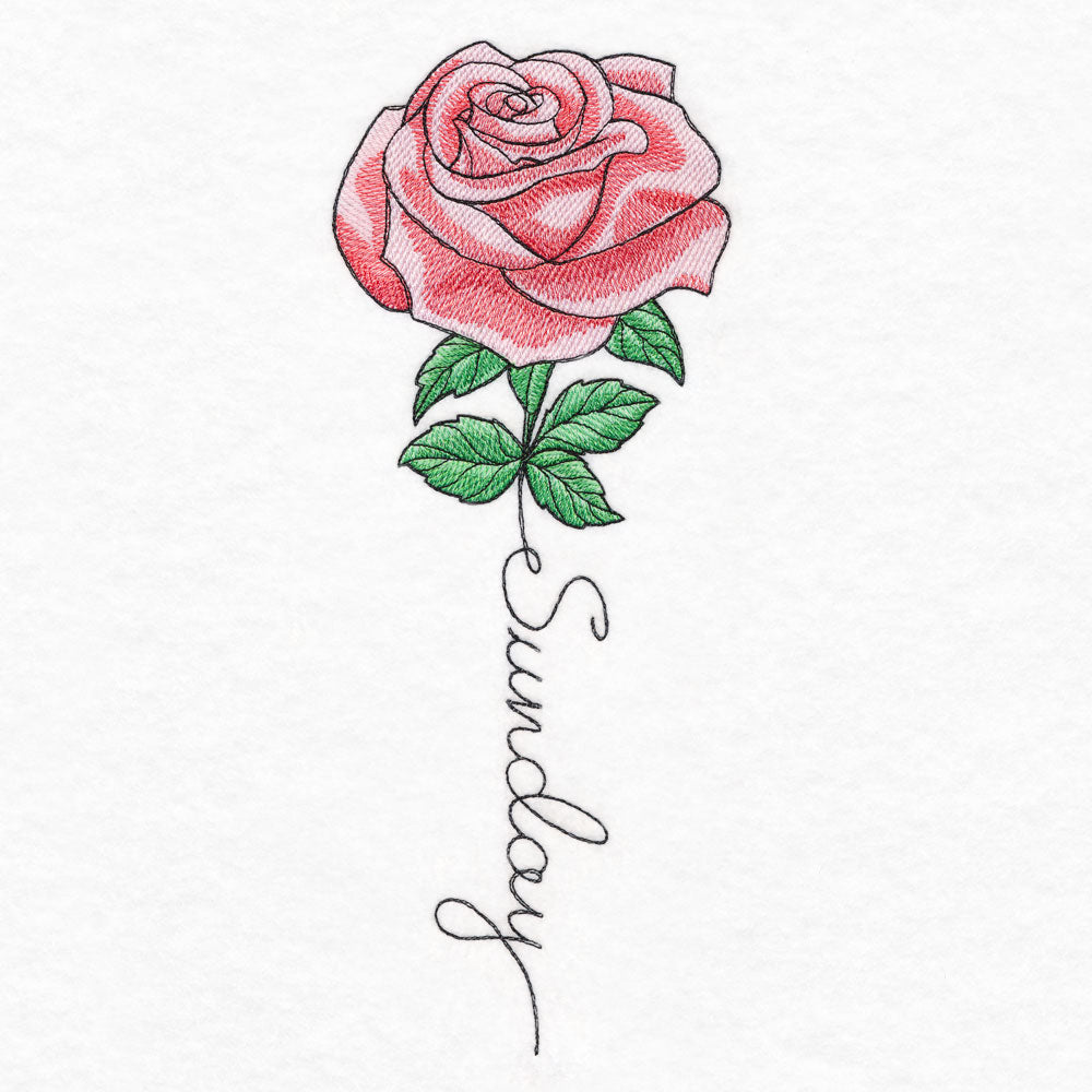 Sunday Bloom Rose