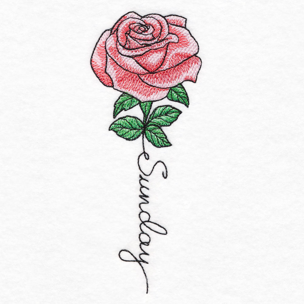 Sunday Bloom Rose
