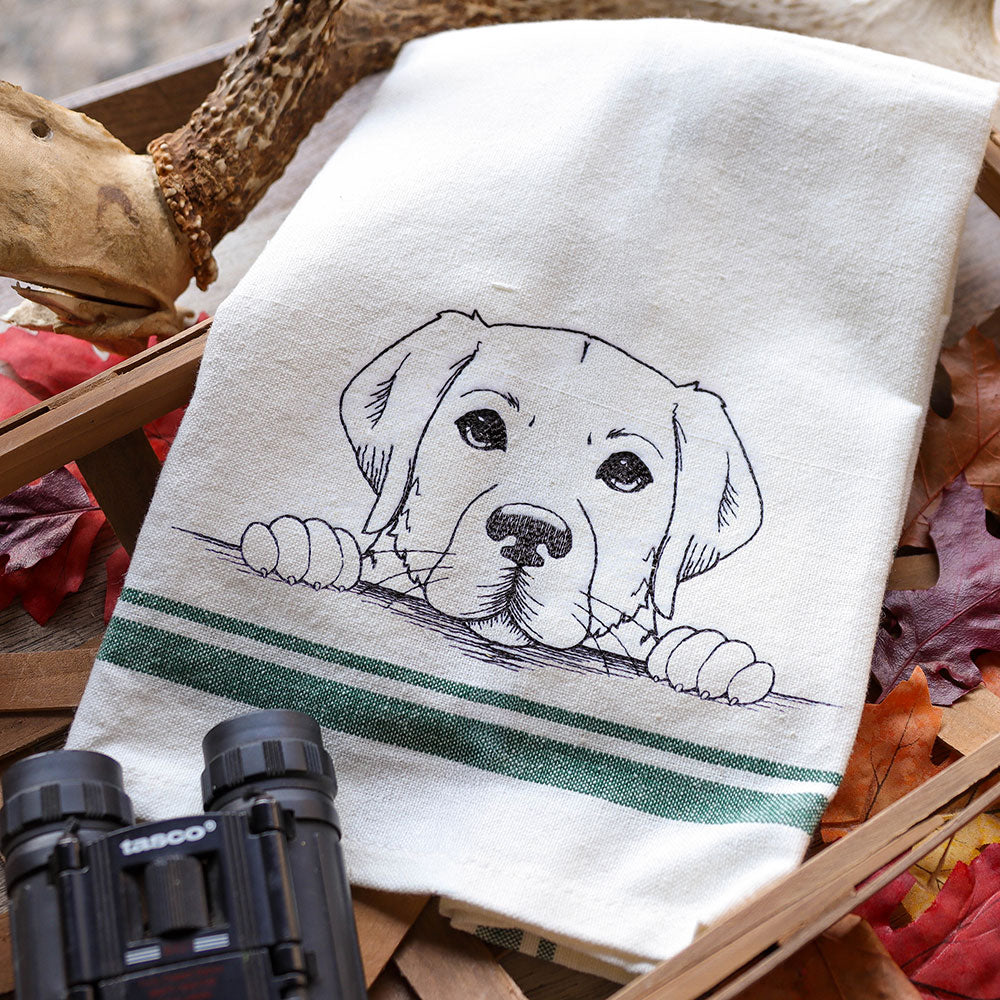Peeking Labrador Retriever Sketch
