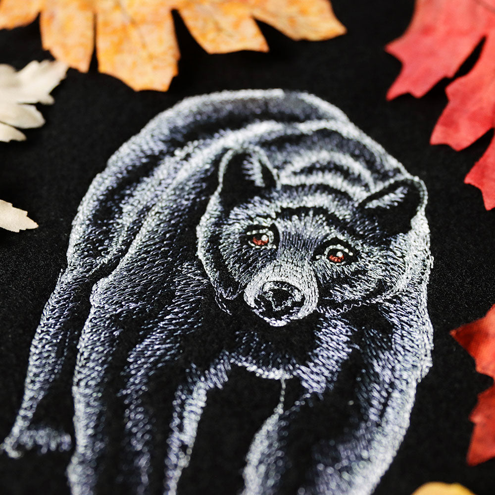Majestic Walking Black Bear