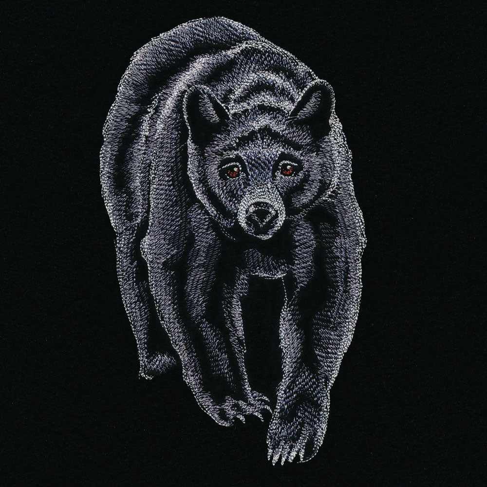 Majestic Walking Black Bear