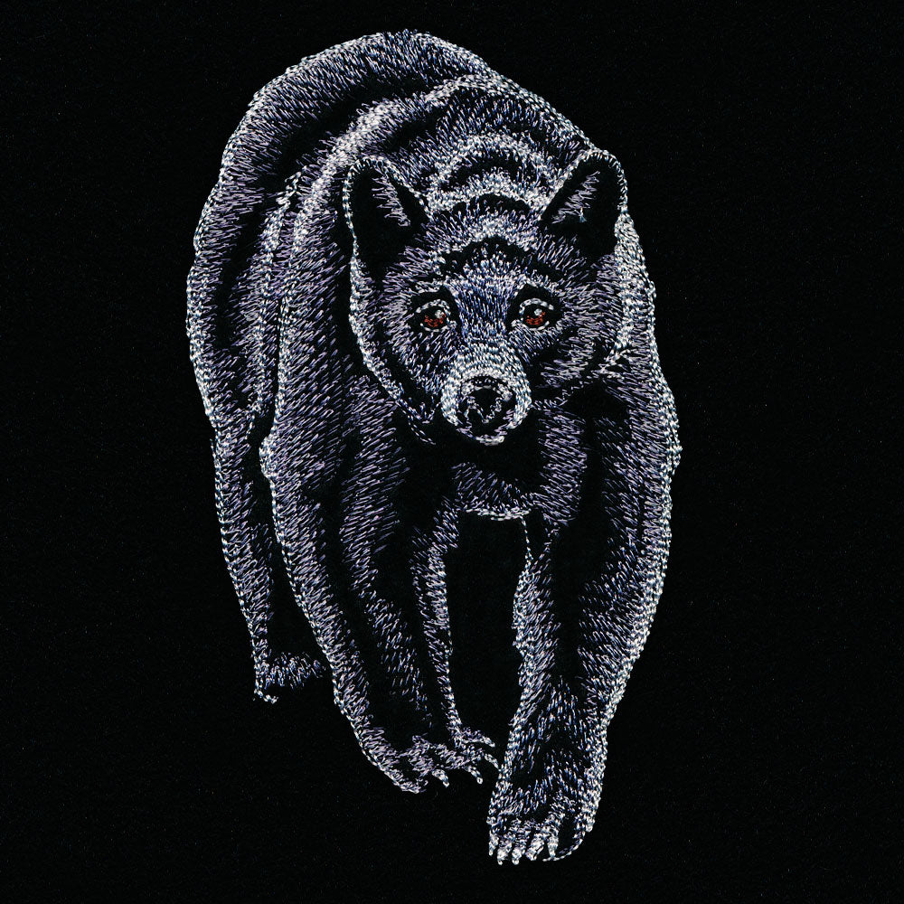 Majestic Walking Black Bear