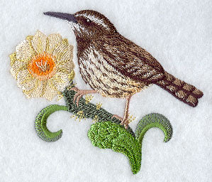 Arizona Cactus Wren and Saguaro Cactus Blossom Medley
