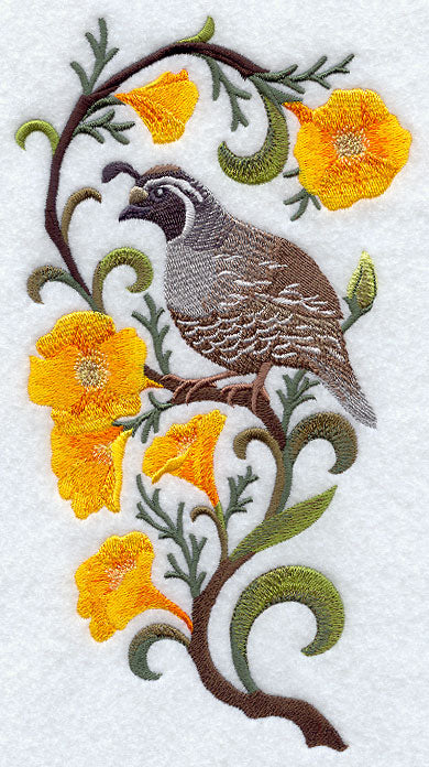 California Quail and California Poppy Medley
