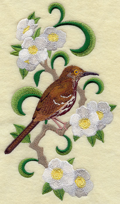 Georgia Brown Thrasher and Cherokee Rose Medley