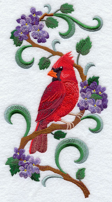 Illinois Cardinal and Violet Medley