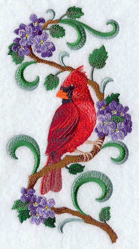 Illinois Cardinal and Violet Medley