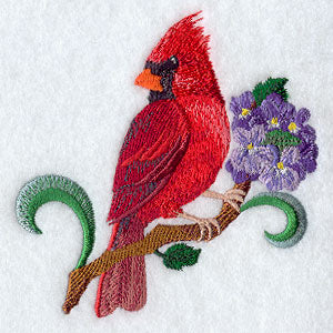 Illinois Cardinal and Violet Medley