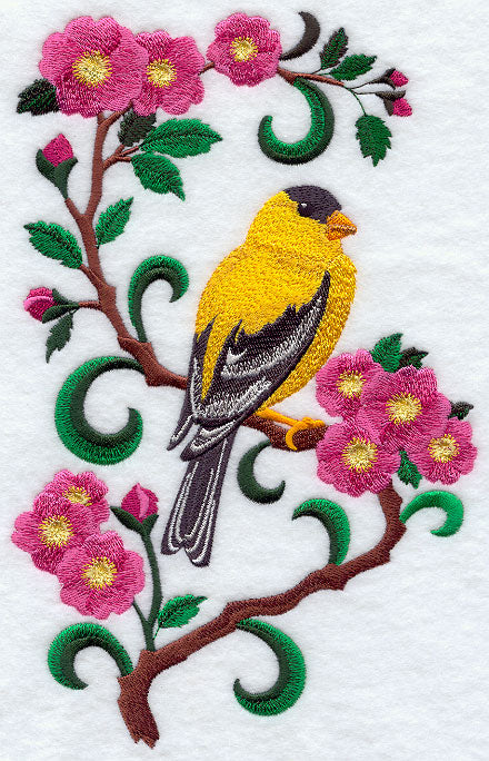 Iowa Eastern Goldfinch and Wild Rose Medley