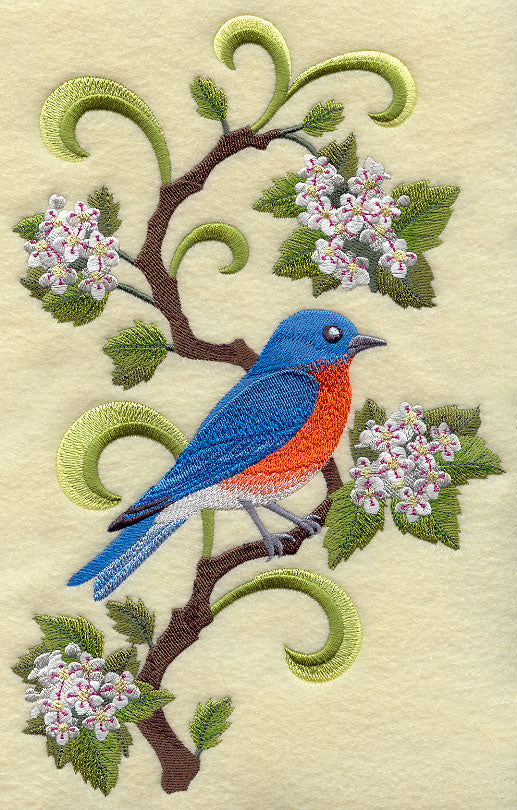 Missouri Eastern Bluebird and Hawthorn Medley