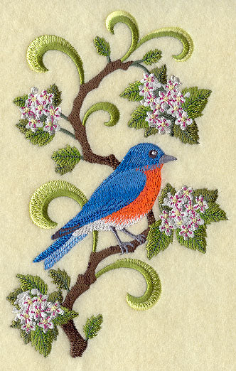 Missouri Eastern Bluebird and Hawthorn Medley