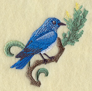 Nevada Mountain Bluebird and Sagebrush Medley