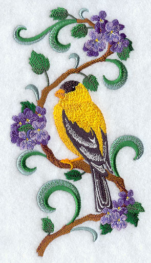 New Jersey Eastern Goldfinch and Purple Violet Medley