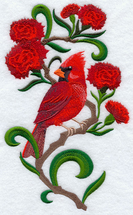 Ohio Cardinal and Scarlet Carnation Medley
