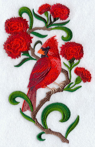 Ohio Cardinal and Scarlet Carnation Medley