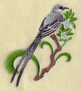 Oklahoma Scissor-Tailed Flycatcher and Mistletoe Medley