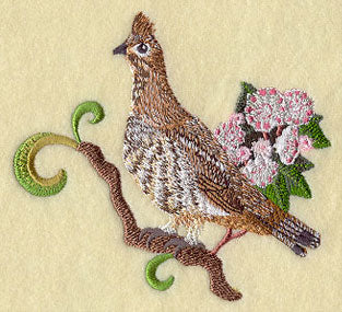 Pennsylvania Ruffed Grouse and Mountain Laurel Medley