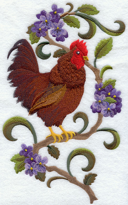 Rhode Island Rhode Island Red and Violet Medley