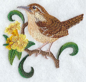 South Carolina Great Carolina Wren and Jessamine Medley