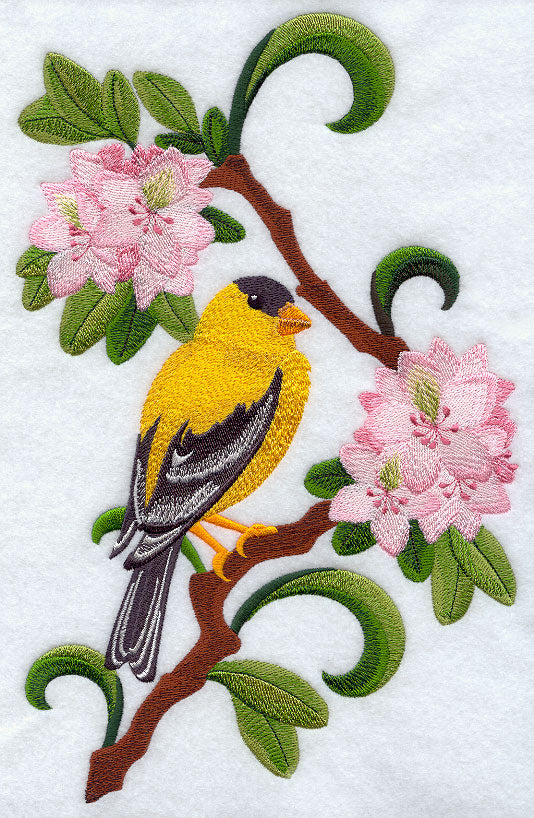 Washington Willow Goldfinch and Rhododendron Medley