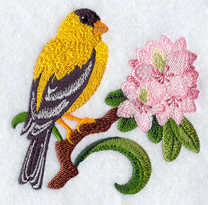 Washington Willow Goldfinch and Rhododendron Medley