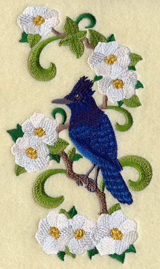 British Columbia Steller's Jay and Dogwood Medley