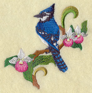 Prince Edward Island Blue Jay and Lady's Slipper Medley