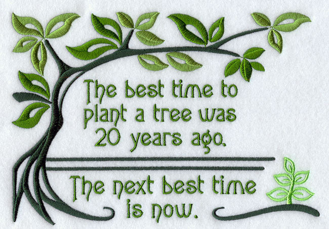 Best Time to Plant a Tree