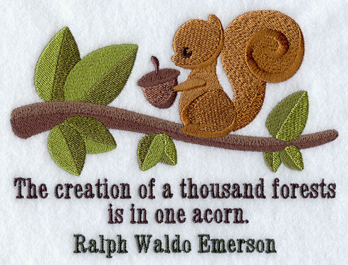 Creation of a Thousand Forests