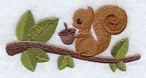 A Squirrel and His Nut