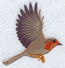 Flying European Robin