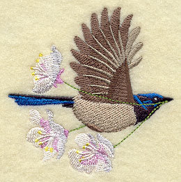 Flying Superb Fairywren with Blossoms