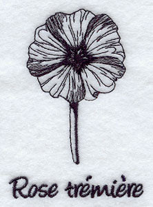 Hollyhock - Rose Tremiere